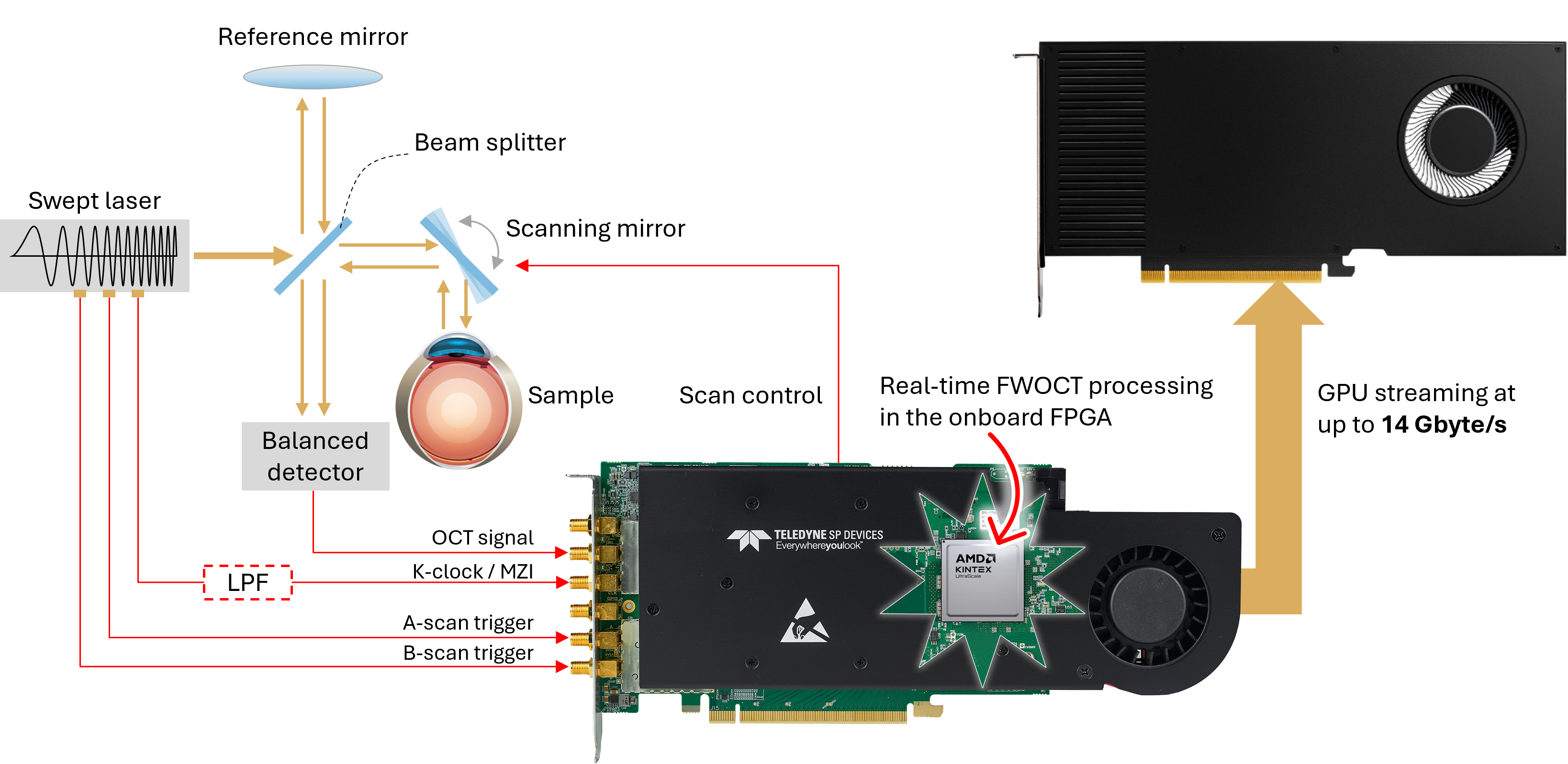 SS-OCT system architecture with FWOCT